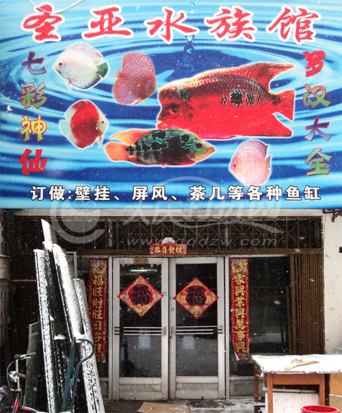 大庆圣亚水族馆