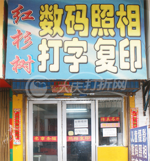 大庆红杉树数码摄影