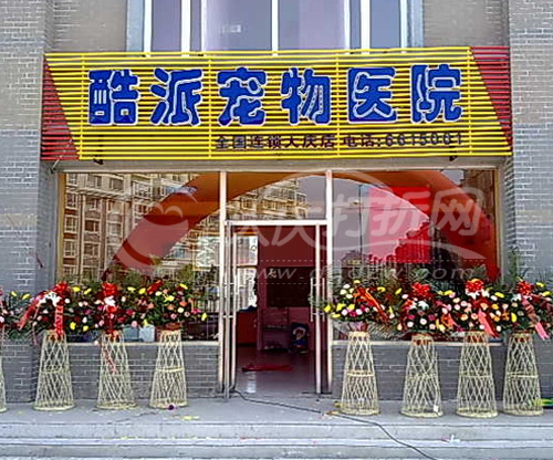 大庆酷派宠物医院