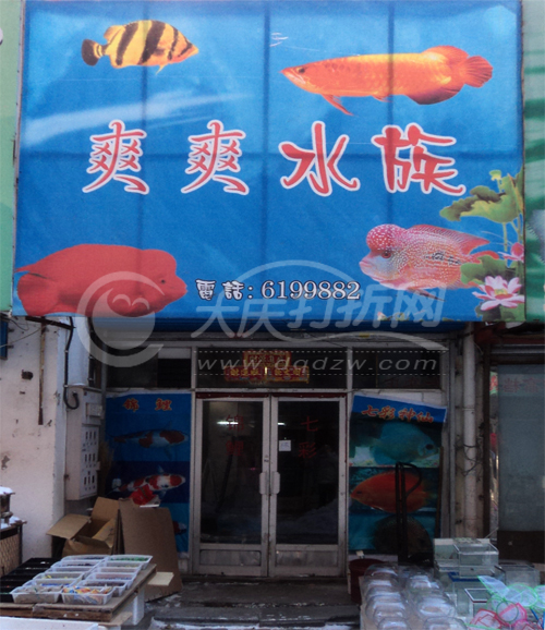大庆爽爽水族一店