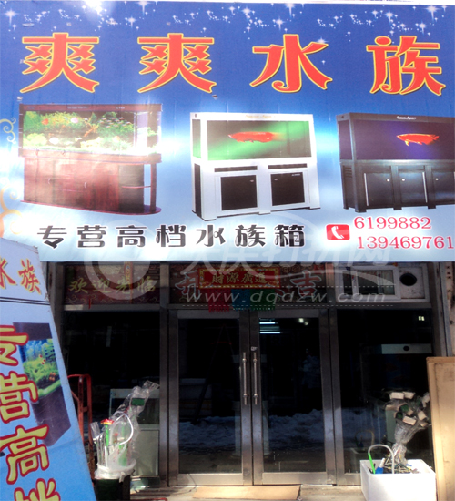 大庆爽爽水族二店