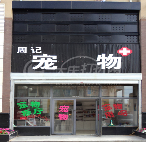 大庆周记宠物