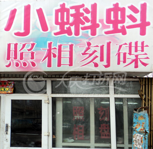 大庆小蝌蚪照相刻碟