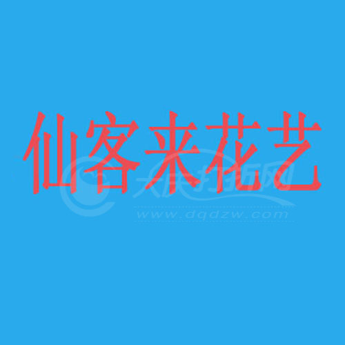 大庆仙客来花艺