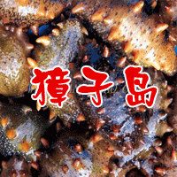 大庆獐子岛海参专卖