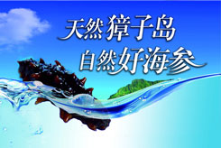 獐子岛海参专卖